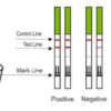 teste-de-fertilidade-2