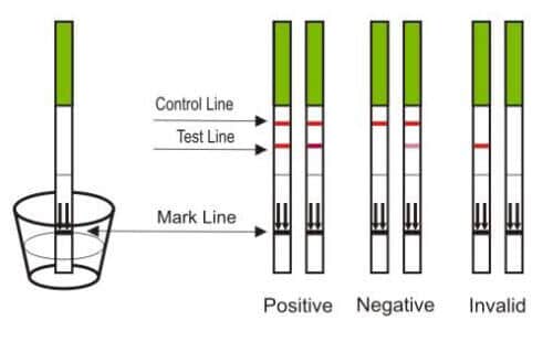 teste-de-fertilidade-2