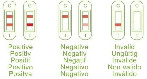 teste-de-fertilidade-4